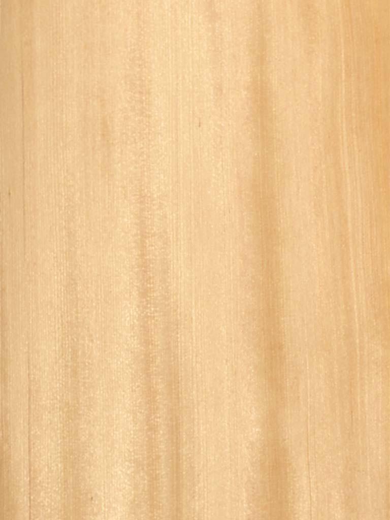 Gỗ Hemlock