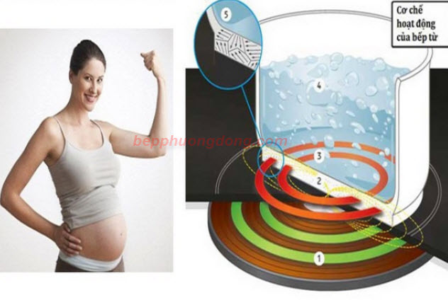 cơ chế hoạt động bếp từ lorca