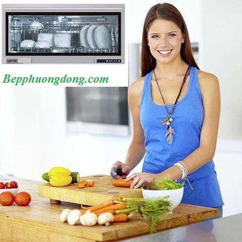 Nên mua máy sấy bát của hãng nào