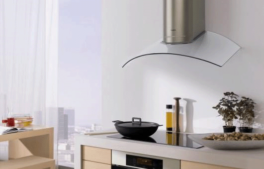 phân biệt bếp từ và bếp điện từ